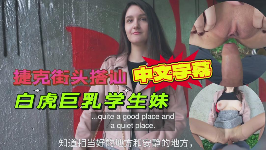 捷克街头搭讪白虎巨乳学生妹出高价户外打野战